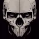 Dali Skulls Limited