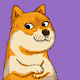 Bold Doges