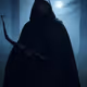 Dark hunter