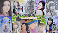 Xszone Drawing Collections
