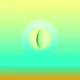 Ensan Olive Seed
