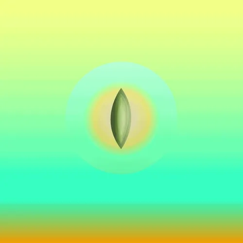 Ensan Olive Seed