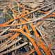 Mappings by Ira Greenberg