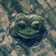 HUMANCORE