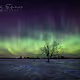 The Skies are Alive - Green