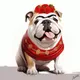 Pepa Bulldog