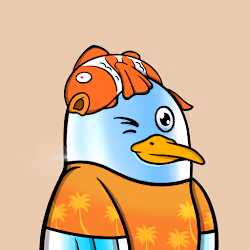 Savvy Seagulls