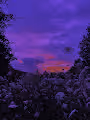 awake in a dream