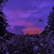 awake in a dream