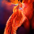 Ukrainian Phoenixes
