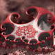 Organic Fractals