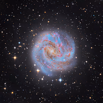 Sloika Galaxy