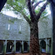 The Courtyard