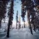 Finland's Wonderland: Winter