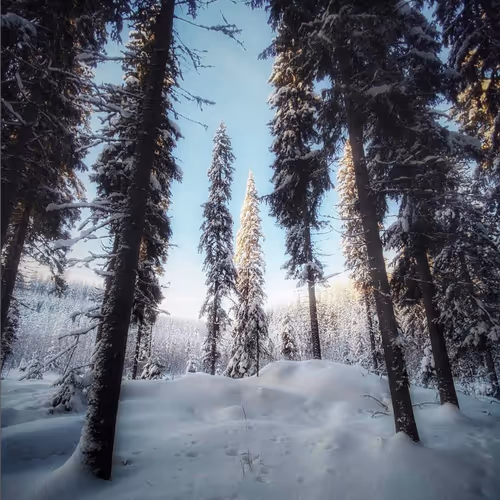 Finland's Wonderland: Winter