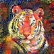 Ai Tiger