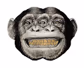 gold teeth - old