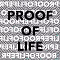 Proof Of Life by Angela Fabbri