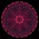 Multiversal Artifacts