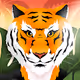 The Hungry Tigers NFT Collection