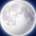 Moonboy Society
