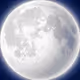 Moonboy Society