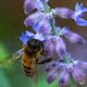 Macro Approaches