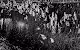 Cinemascope Dreams - old