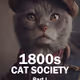 1800s Cat Society - Part I