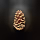 pinecone