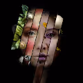 Metamorphosis of Darkness