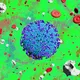 nftPandemic