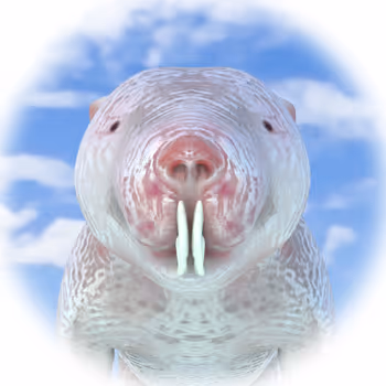 GLTF Bizarre animals