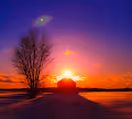 Here Come The Suns
