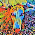 Skye The Greyhound