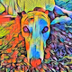Skye The Greyhound
