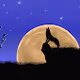 dusk moon