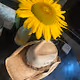 Keep it Simple Sunflower Patch '21