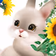 LuckyBunny