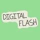 DIGITAL FLASH