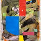 Kabezo Fine Art