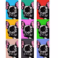 CrazyBulldogClub Collection