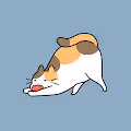 Yawn Cat