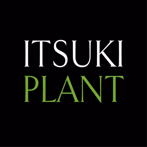 ITSUKI PLANT - fan art