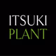 ITSUKI PLANT - fan art