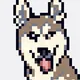 Crypto Doggies