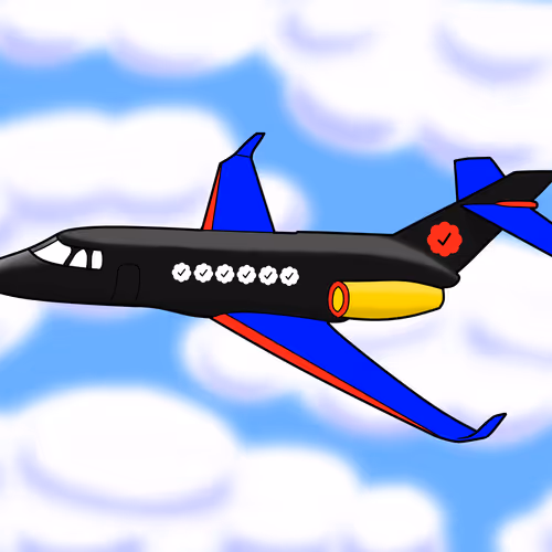 VIP Customized MHC Private Jets