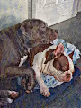 Hank&Harley-Quinn