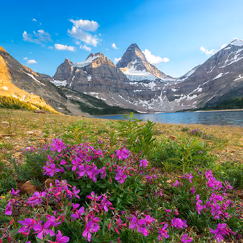 Mount Assiniboine