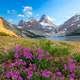 Mount Assiniboine